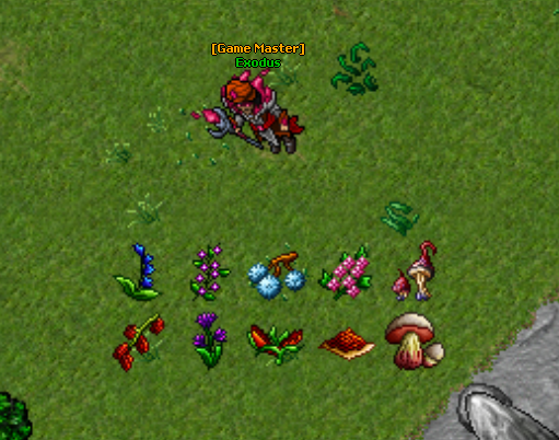 new_ressources.png